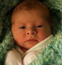 b>Grand Island E-News' "Between the Bridges" by Teddy Linenfelser