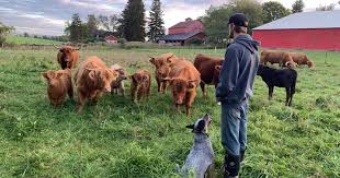 Local farmer champions regenerative agriculture movement