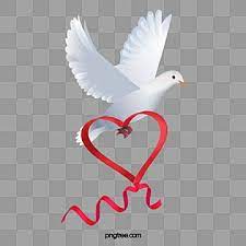 A White Dove Vector Material White Pigeon Vector Png Transparent Clipart Image And Psd File For Free Download White Doves Dove Pictures Peace Dove