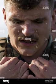 Steven Signorello's Instagram, Twitter & Facebook