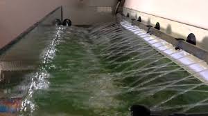 There is a lot of miss information out there on how many fish can be kept in a certain size aquarium. Spray Bar Filter Outflow Planted Tank Youtube