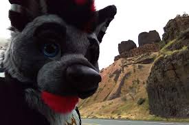 Biggest Little Fur Con 2019 - Kuhori and Graves Fursuiting Adventures