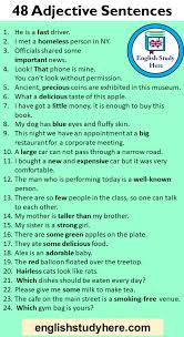 48 Adjective Sentences Example Sentences With Adjectives We Constantly Try To Use Descriptive Words In Expressi Adjectives Descriptive Words Sentence Examples