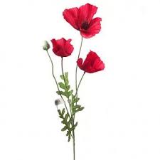Tilan artificial mini poppy decorative fake flowers wedding bridal bouquet home party decor (red… £. Artificial Flame Red Poppy Flower Stem Just Look Like It Has Been Picked From A Field Artificial Flowers And Plants Red Poppy Flower Poppy Flower