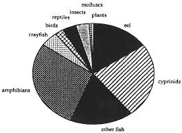 Knollseisen M 1996 Some Aspects Of The Feeding Ecology