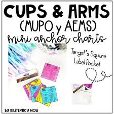 Spanish Aems Y Mupo English Cups Arms Mini Pocket Anchor Charts