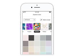 The Home Depot Projectcolor App