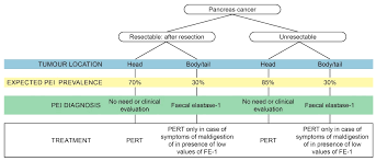 Pancreatic cancer is when uncontrollable cells multiply within the pancreas. Cancers Free Full Text Pancreatic Enzyme Replacement Therapy In Pancreatic Cancer Html