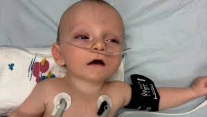 Fundraiser for Hailey Starkey by Stephanie Paul : In Loving Memory of  Zedekiah and his journey with CRELD1