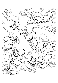 coloriage ecureuil famille page 7 sur 32 hugolescargot com squirrel coloring books pages harry potter bus
