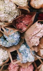 The staff was super nice! 120 Flowers To Go Ideas Flowers Flower Arrangements Flowers Bouquet