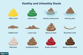 healthy and unhealthy stool: poop