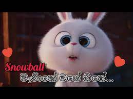 Download manike mage hithe (මැණිකේ මගේ හිතේ) | satheeshan ft. Manike Mage Hithe Snowball Version Youtube