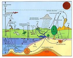 Remote Sensing Tutorial Page 16 4 Carbon Cycle Weathering And Erosion Ecology Design