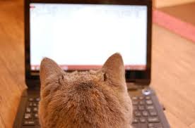 図解で超簡単 Filezillaを設定する お名前 Com レンタルサーバー オドフラン いつもどこかに なるほど を
