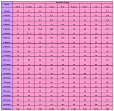 Yorkshire Terrier Growth Chart Learn What Weight And Size