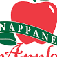 48th Annual Nappanee Apple Festival!
