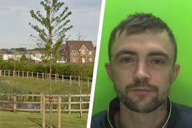 Woman assaulted with a wooden pole after man forced his way into family  home