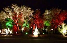 Led Austin City Lights Landscape Lighting Outdoor Landscape Lighting Landscape Lighting Design