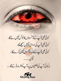 There are several meanings of the lawn word and it can be used in different situations with a combination of other words as well. Pin By Soomal Mari On Urdu Face Makeup Halloween Face Makeup Face