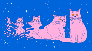 Illustration For Real Life Schrodinger S Cats Probe The Boundary Of The Quantum World Cat Illustration Schrodinger S Cat Schrodingers Cat