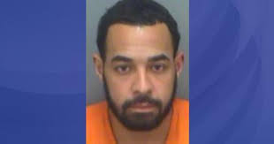 Handcuffed Florida man dies after jumping into bay, deputies say