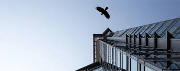 Saint john, nb, e2l 4g7. Specialty Construction Supplies And Home Fixtures Bird Stairs