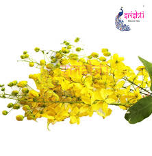 Image result for Cassia fistula