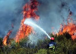Hatay'da orman yangını 16.07.2021 turkey Zirve Yapan Sicaklar Ve Orman Yanginlari