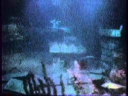 This site is all about the amazing 20,000 leagues under the sea ride that was at disney world! Disney World 20 000 Leagues Under The Sea Ride Full Ride Best Of Compilation Youtube
