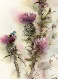 One legend has it that a sleeping party of scottish warriors were spared ambush by a norse army when a soldier trod on the prickly flower, rousing them with his pained cry. Thistle Pink Flowers Painting Scotland National Flower Watercolour By Sophie Rodionov Artfinder