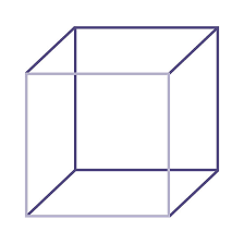 It has 6 faces, 12 edges, and 8 vertices. Necker Cube The Illusions Index