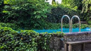 Pool Landscaping Pretty And Practical