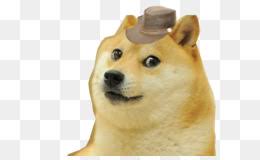 Dogecoin logo, dogecoin illustration png clipart. Dogecoin Png And Dogecoin Transparent Clipart Free Download Cleanpng Kisspng