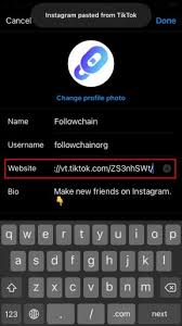 Tiktok influencers or business owners why: How To Add Your Tiktok Link To Your Instagram Bio Followchain