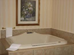Hot tubs new tan spa cover Jacuzzi Room Picture Of Hampton Inn Suites Buffalo Downtown Tripadvisor