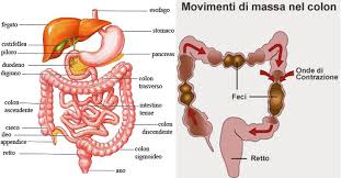 C'è infatti chi lo considera un ingrediente. La Stitichezza O Stipsi Prof G Caletti