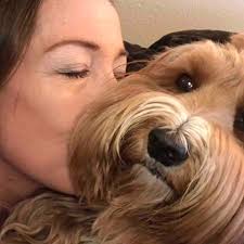 Fundraiser by Jane Ann Zeigler : Help SAVE Porshia