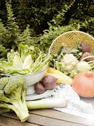 Deutschland Mein Garten Herbstliches Gemuse Autumn Vegetables Pumpkin Obst Und Gemuse Garten Obst