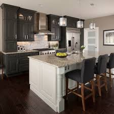 Bulthaup precision meets rustic influences with their kitchen cabinetry sitting comfortably against the reclaimed. 75 Beautiful Dark Wood Floor Kitchen With Gray Cabinets Pictures Ideas June 2021 Houzz