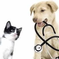 58, 1 109 parte din comitetul care în 1947 a înfiinţat prima societate română de homeopatie, desfiinţată imediat. Societatea RomanÄƒ De Homeopatie Home Facebook