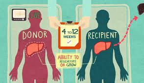 Help spread the word about the importance of signing up as an organ, eye, and tissue donor with these free digital outreach and education materials. My Sister S Keeper Voices In Bioethics