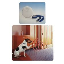 R21/r22 v4 computer collar units (17 pages). Pets Manager Digital Invisible Fence Indoor Version Phone Accessories Wholesale Cell Phone Accessories Pets