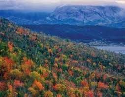 Gros Morne National Park Is Spectacular At Any Time Of The Year But It Is In The Fall That It Shows Its True Colours Vibra East Coast Travel Newfoundland Trip