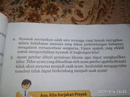 Tolong Di Jawab Plisss Brainly Co Id