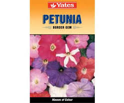 Yates Border Gem Petunia Petunias Flower Seeds Border