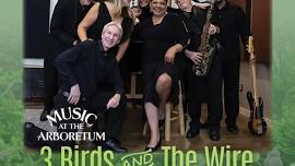 Music at the Arboretum: 3 Birds and The Wire