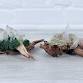 Crystal and Moss Garden