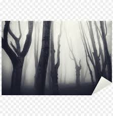 Spooky forest with full moon and grave. Old Twisted Trees In A Spooky Dark Forest Sticker Forest Png Image With Transparent Background Toppng