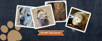 Grace animal hospital & pet lodge is your local veterinarian in lexington serving all of your needs. Barnwell Oaks Kennels Home Facebook